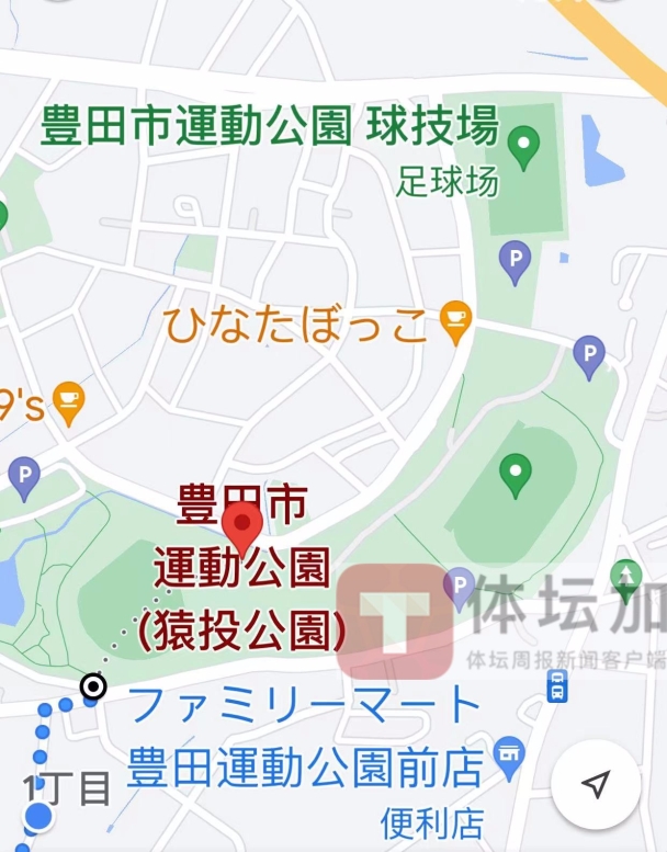 中国米兰体育-足球场地智能管理系统实现全境监控，保障安全高效的简单介绍